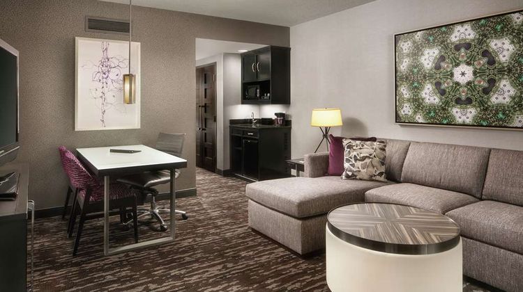 Embassy Suites Hotel Crystal City Other