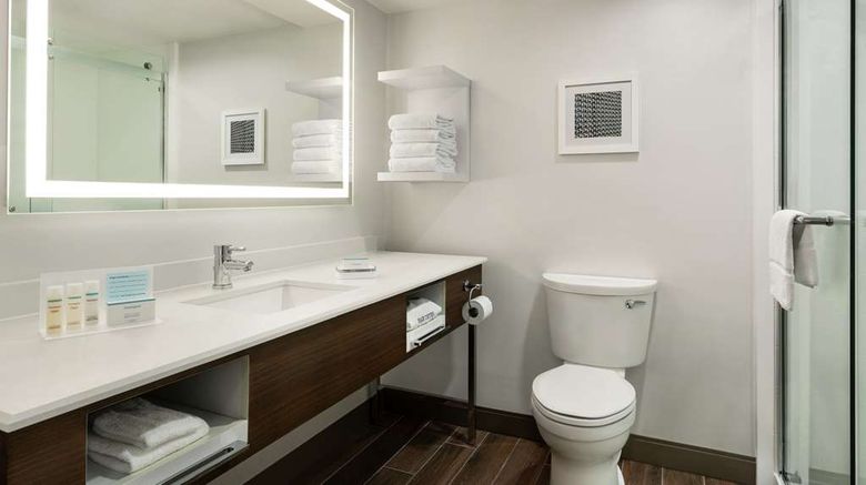 <b>Hampton Inn Dulles/Cascades Room</b>. Images powered by <a href="https://iceportal.shijigroup.com/" title="IcePortal" target="_blank">IcePortal</a>.