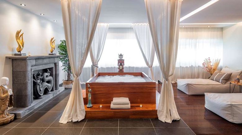 <b>Hilton Evian-Les-Bains Recreation</b>. Images powered by <a href="https://iceportal.shijigroup.com/" title="IcePortal" target="_blank">IcePortal</a>.