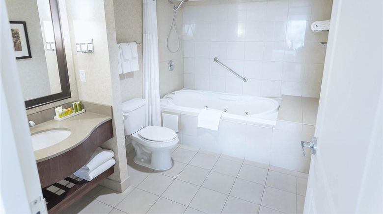 <b>Hilton Niagara Falls Fallsview Room</b>. Images powered by <a href="https://iceportal.shijigroup.com/" title="IcePortal" target="_blank">IcePortal</a>.