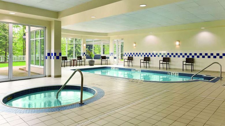 <b>Hilton Garden Inn Niagara-on-the-Lake Pool</b>. Images powered by <a href="https://iceportal.shijigroup.com/" title="IcePortal" target="_blank">IcePortal</a>.