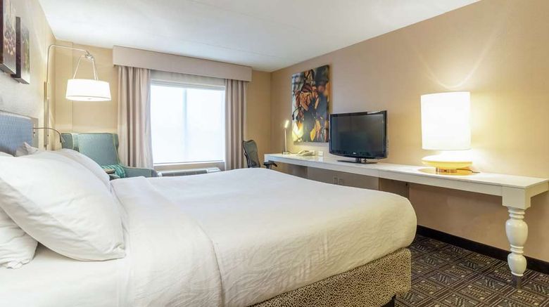 <b>Hilton Garden Inn Niagara-on-the-Lake Room</b>. Images powered by <a href="https://iceportal.shijigroup.com/" title="IcePortal" target="_blank">IcePortal</a>.
