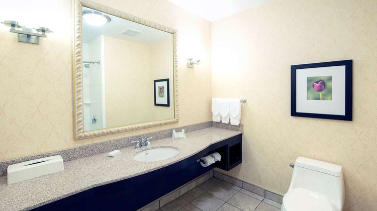 Hilton Garden Inn Ottawa Airport Room