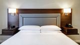 <b>DoubleTree by Hilton Toronto Downtown Room</b>. Images powered by <a href="https://iceportal.shijigroup.com/" title="IcePortal" target="_blank">IcePortal</a>.