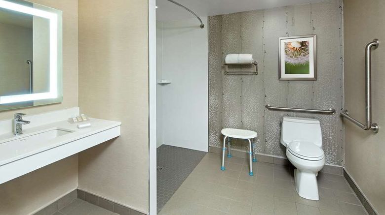 <b>Hilton Garden Inn Toronto Oakville Room</b>. Images powered by <a href="https://iceportal.shijigroup.com/" title="IcePortal" target="_blank">IcePortal</a>.