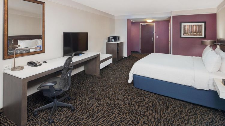 Hilton Garden Inn Montreal Centre-ville Room