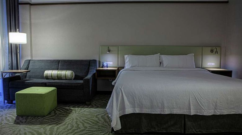 <b>Hilton Garden Inn Montreal Airport Room</b>. Images powered by <a href="https://iceportal.shijigroup.com/" title="IcePortal" target="_blank">IcePortal</a>.