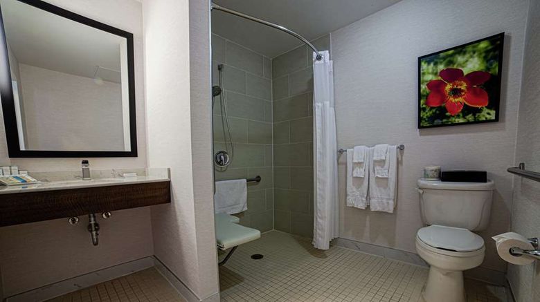 <b>Hilton Garden Inn Montreal Airport Room</b>. Images powered by <a href="https://iceportal.shijigroup.com/" title="IcePortal" target="_blank">IcePortal</a>.