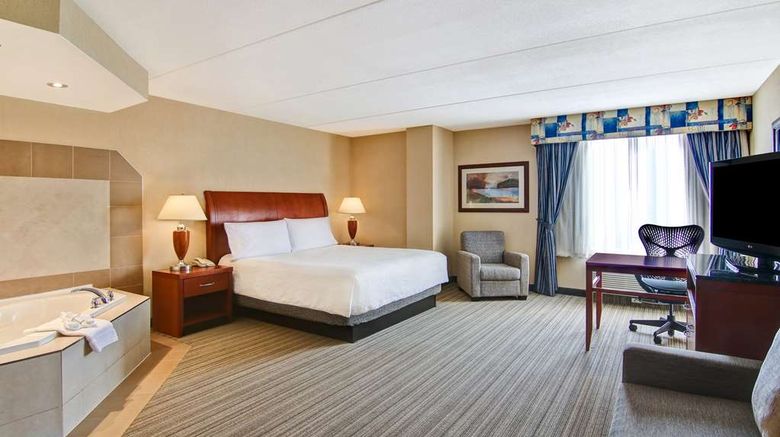 <b>Hilton Garden Inn Toronto/Burlington Room</b>. Images powered by <a href="https://iceportal.shijigroup.com/" title="IcePortal" target="_blank">IcePortal</a>.