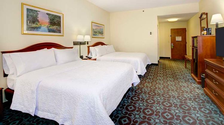 Hampton Inn Spartanburg-North I-85 Room