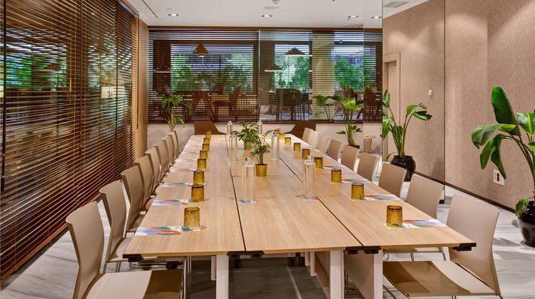 Melia Madrid Serrano Meeting
