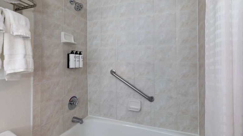 <b>Wyndham Garden Norfolk Downtown Room</b>. Images powered by <a href="https://iceportal.shijigroup.com/" title="IcePortal" target="_blank">IcePortal</a>.