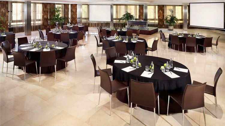 Melia Madrid Princesa Meeting