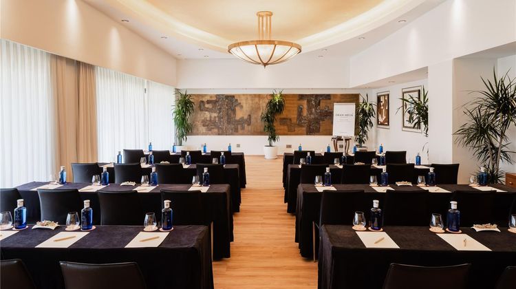 Gran Melia Don Pepe Meeting