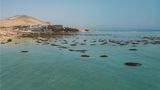 Melia Fuerteventura Beach
