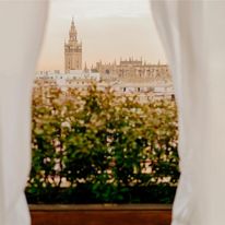 Gran Melia Colon