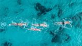 Melia Cozumel Beach & Golf Resort Health
