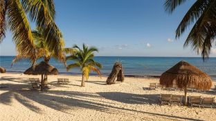 Melia Cozumel Beach & Golf Resort