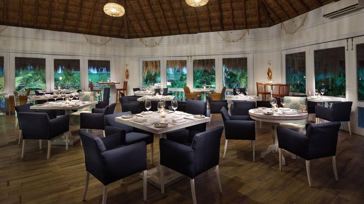 Melia Cozumel Beach & Golf Resort Restaurant