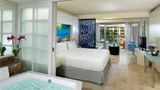 <b>Paradisus Playa del Carmen Room</b>. Images powered by <a href="https://iceportal.shijigroup.com/" title="IcePortal" target="_blank">IcePortal</a>.