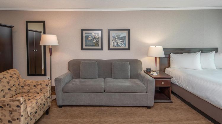 Campus Tower Suite Hotel Suite