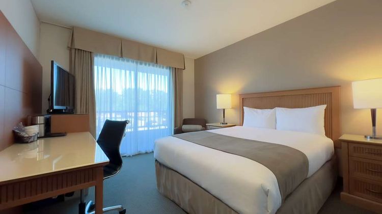 Coast Capri Hotel Room