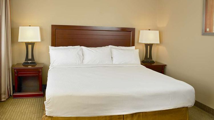 Coast Fraser Inn Room