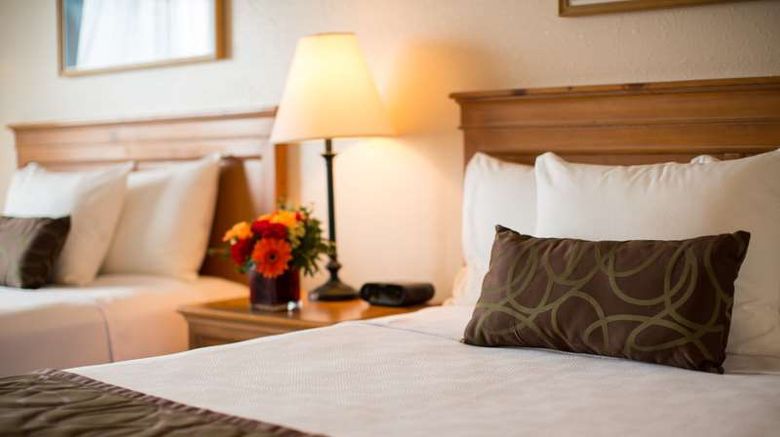 <b>Coast International Inn Room</b>. Images powered by <a href="https://iceportal.shijigroup.com/" title="IcePortal" target="_blank">IcePortal</a>.