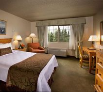 Coast International Inn Room