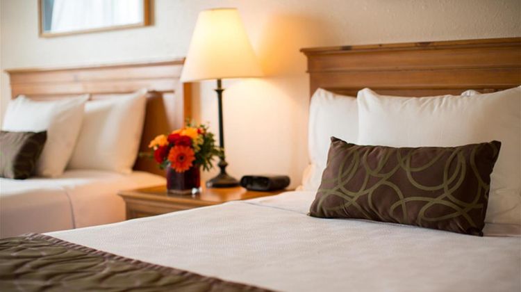 Coast International Inn Room