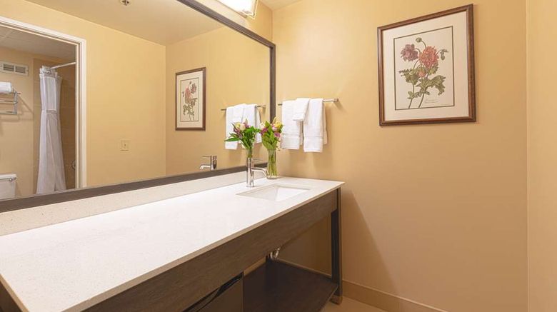 <b>The Coast Wenatchee Center Hotel Room</b>. Images powered by <a href="https://iceportal.shijigroup.com/" title="IcePortal" target="_blank">IcePortal</a>.