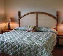 Villas at Regal Palms Room