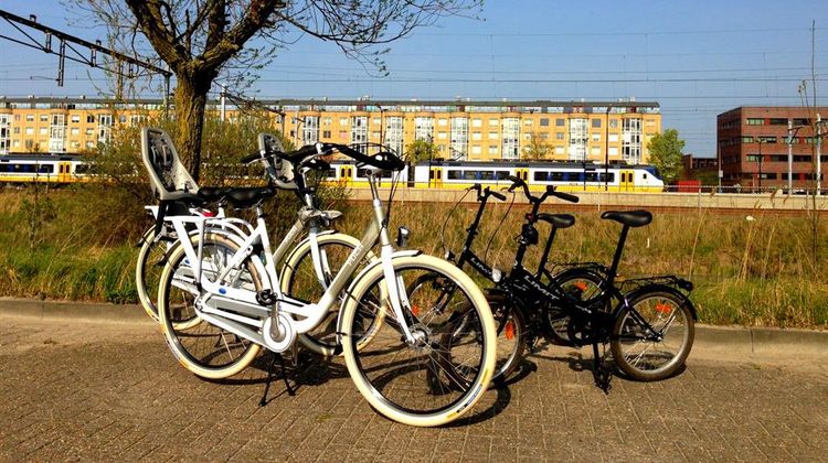 Best Western Zaan Inn Recreation