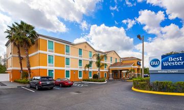 Best Western Wesley Chapel