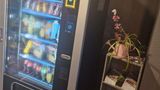 Hotelf1 Montpellier Sud Lattes Other