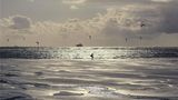 HotelF1 Le Havre Other