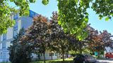 Ibis Budget Nantes Ouest Coueron Exterior
