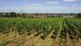 Ibis Budget Nuits Saint Georges Other