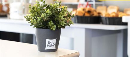 Ibis Budget Saint Lo Exterior