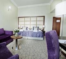 Hotel King David Prague Room