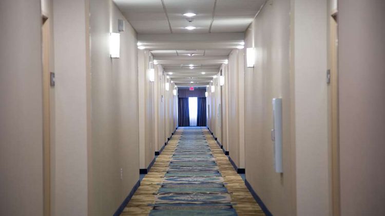 Hampton Inn & Suites McKinney Other