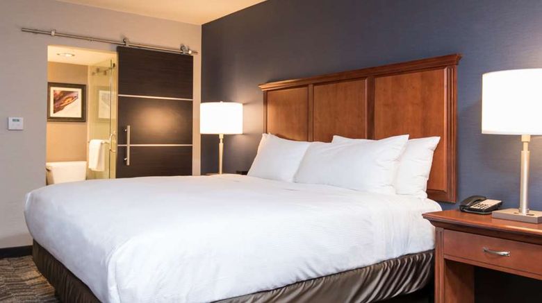 <b>Doubletree by Hilton Schenectady Room</b>. Images powered by <a href="https://iceportal.shijigroup.com/" title="IcePortal" target="_blank">IcePortal</a>.