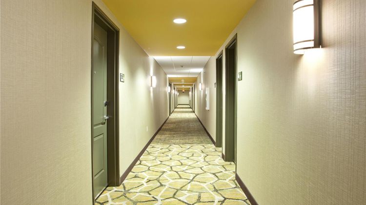 Hampton Inn & Suites Downtown Other