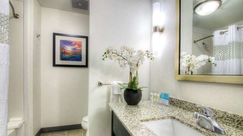 <b>Hampton Inn Houston I-10 East Room</b>. Images powered by <a href="https://iceportal.shijigroup.com/" title="IcePortal" target="_blank">IcePortal</a>.