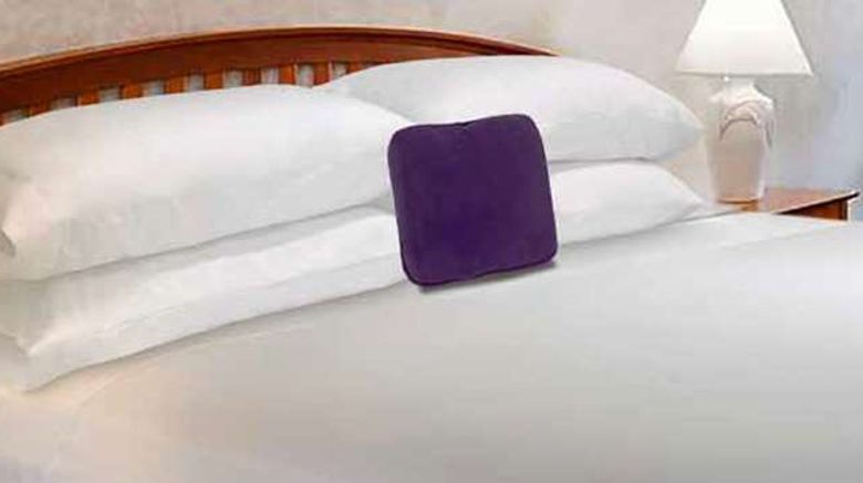 <b>Knights Inn Elizabethtown Room</b>. Images powered by <a href="https://iceportal.shijigroup.com/" title="IcePortal" target="_blank">IcePortal</a>.