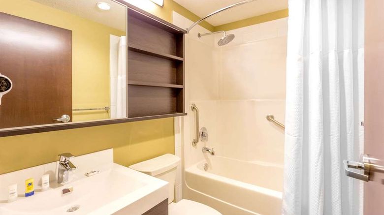 <b>Microtel Inn & Suites Whitecourt Room</b>. Images powered by <a href="https://iceportal.shijigroup.com/" title="IcePortal" target="_blank">IcePortal</a>.