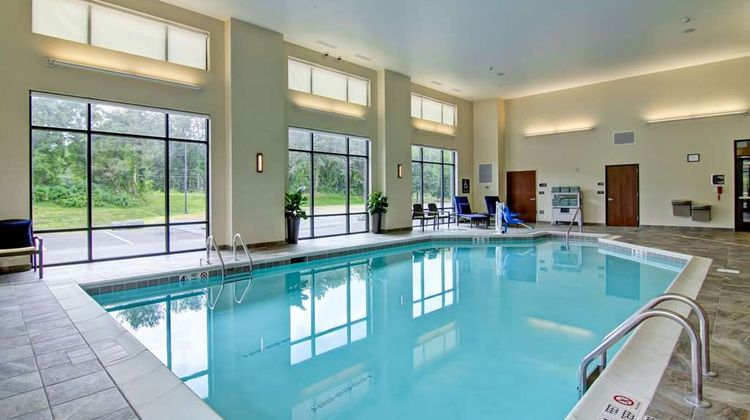 Homewood Suites by Hilton Clifton Park Pool
