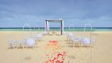 <b>Allegro Playacar Other</b>. Images powered by <a href="https://iceportal.shijigroup.com/" title="IcePortal" target="_blank">IcePortal</a>.