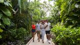 <b>Occidental Cozumel Other</b>. Images powered by <a href="https://iceportal.shijigroup.com/" title="IcePortal" target="_blank">IcePortal</a>.