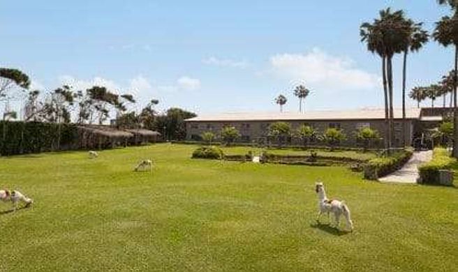 Wyndham Costa del Sol Trujillo Exterior